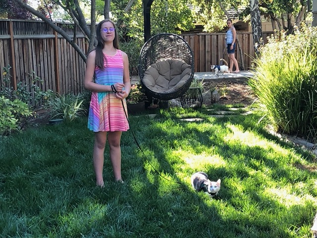 Both girls in the back, walking both cats