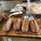 IMG_0795.jpeg