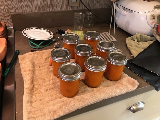It's Blenheim apricot season!  I started churning out jam