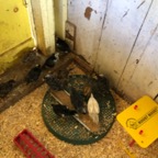 IMG_0798.jpeg
