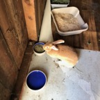 IMG_0799.jpeg