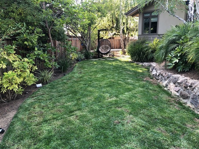 View of the former putting green, now a small lawn with hanging chair