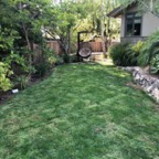 IMG_0809.jpeg