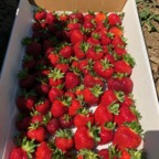IMG_0818.jpeg
