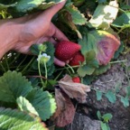 IMG_0819.jpeg