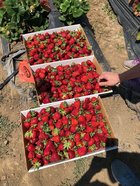 We got quite a haul