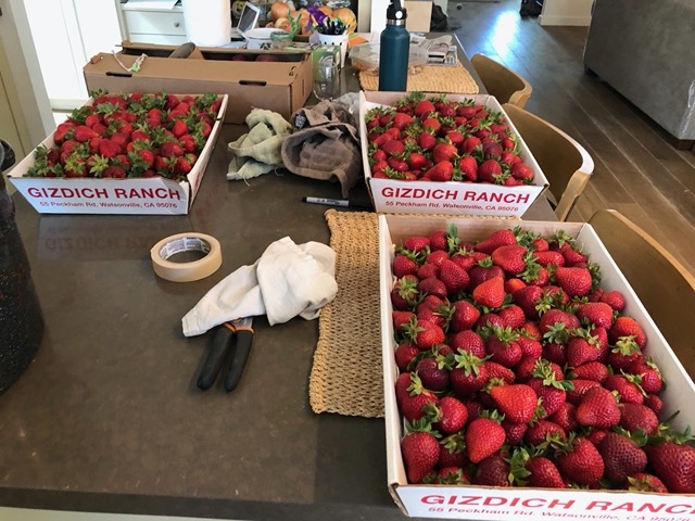 The strawberries at home
