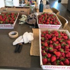 IMG_0828.jpeg