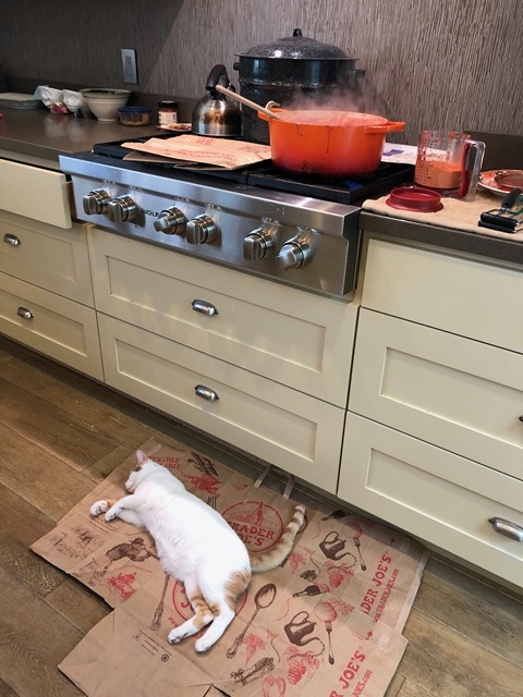 I started making jam right away.  This is NOT a good place for a cat