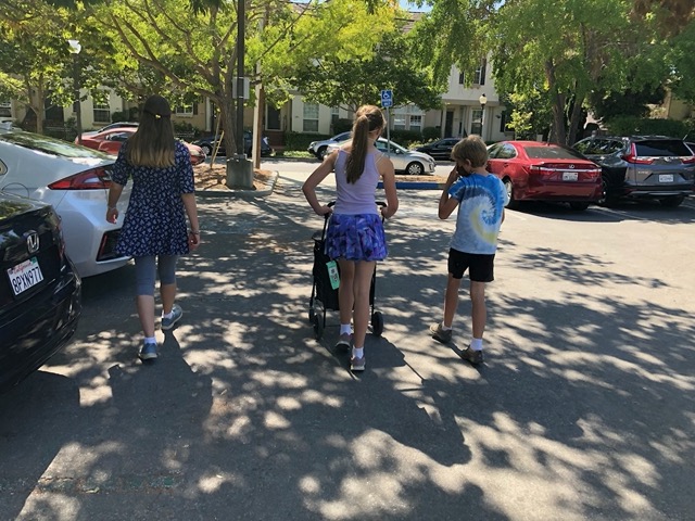 Heading to the farmer's market