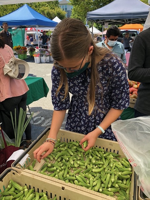 Helping me pick out okra