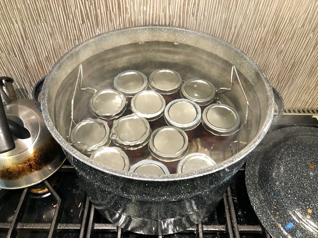 Making apricot jam!