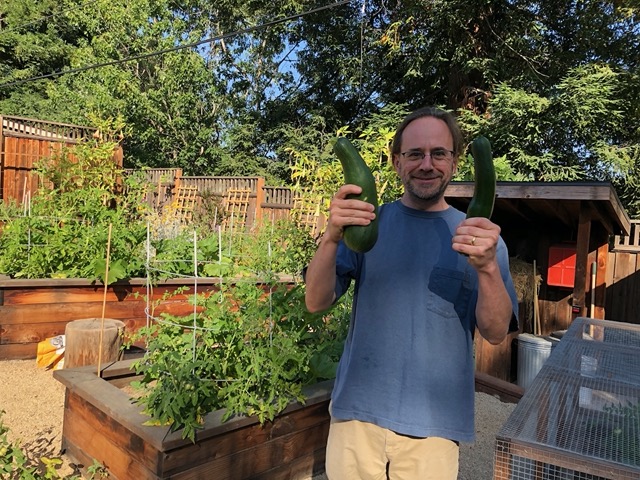 Two big zucchini from our garden!