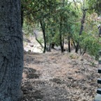 IMG_0866.jpeg