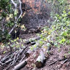 IMG_0868.jpeg