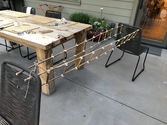 Making progress on my trellis
