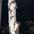 IMG_0878.jpeg