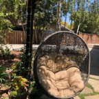 IMG_0882.jpeg