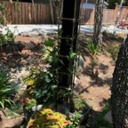 IMG_0883.jpeg