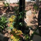 IMG_0886.jpeg