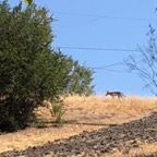IMG_0904 (1).jpeg