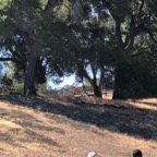 IMG_0919.jpeg
