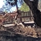 IMG_0919 (1).jpeg