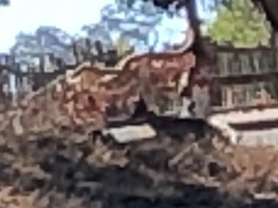 Closer view