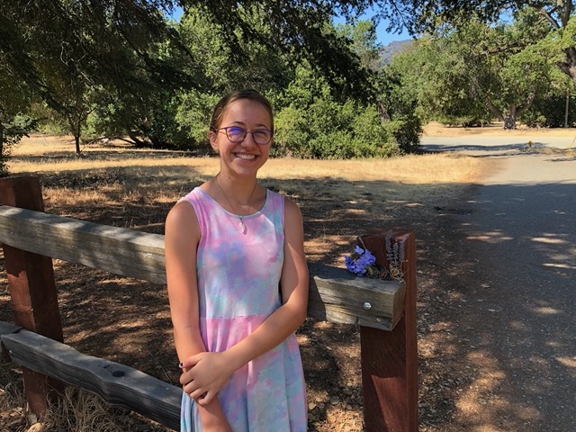 Ellie has been leaving little treasures on the entrance post, along with other strangers