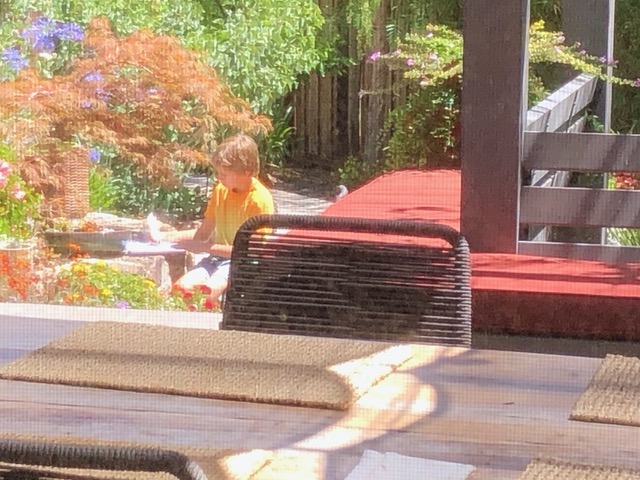 Owen playing in the backyard.  Photo from kitchen (I didn't want to disturb him)