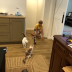 IMG_0938.jpeg