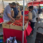 IMG_0943.jpeg