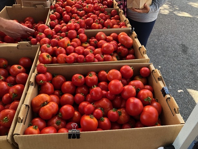 These are the best tomatoes