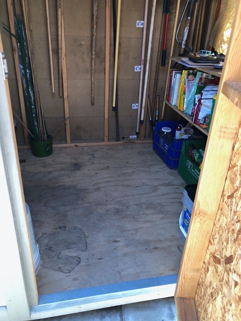 Also I cleaned and reorganized the shed