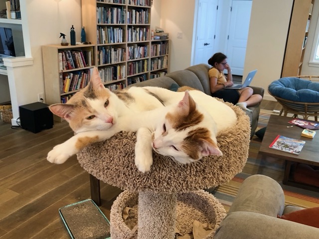 But they both seem pretty comfortable