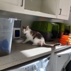 IMG_0957.jpeg