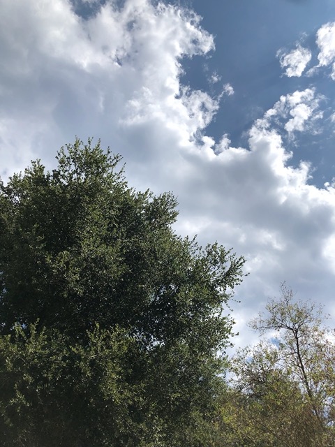 We were TOLD it might RAIN today