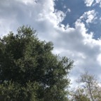 IMG_0963.jpeg