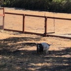 IMG_0980.jpeg