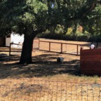 IMG_0981.jpeg