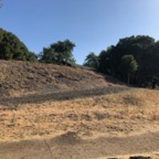 IMG_0992.jpeg