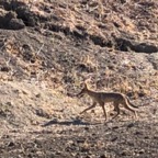 IMG_0994.jpeg