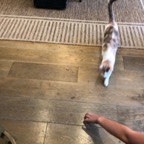 IMG_0997.jpeg