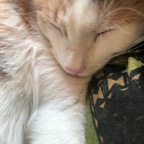 IMG_1005.jpeg