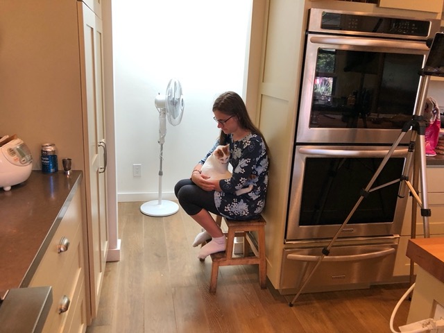 Lela sitting on the kitchen stool with Gizmo