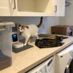 IMG_1025.jpeg