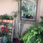 IMG_1027.jpeg
