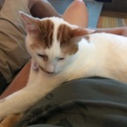 IMG_1041.jpeg
