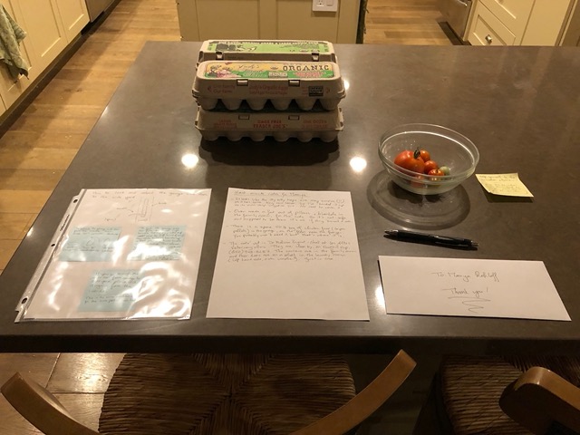 I left everything out for Manya:  instructions, egg cartons for chicken eggs