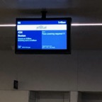 IMG_1050.jpeg